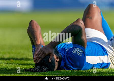 GENK, BELGIO - APRILE 27: Tolu Arokodare del KRC Genk sembra sgretolato durante la partita di play-off del Jupiler Pro League Championship tra il KRC Genk e il Royal Antwerp FC alla Cegeka Arena il 27 aprile 2025 a Genk, Belgio. (Foto di Joris Verwijst/Orange Pictures) Foto Stock