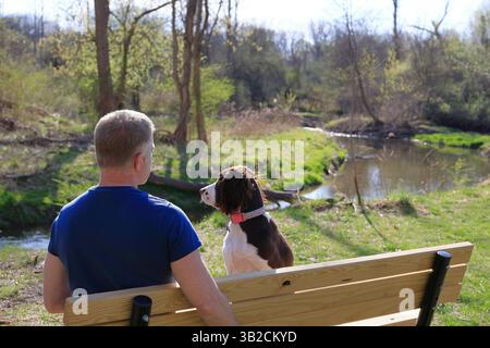 L'escursionista riposa su una panchina con il suo cane da trekking lungo un torrente Foto Stock