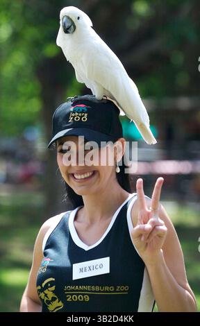 5 dicembre 2009 - Johannesburg, Sud Africa - Miss Messico PERLA BELTRAN posa con un cockatoo durante una visita per tutte le 2009 Miss mondo partecipanti allo Zoo di Johannesburg, Saxonwold, Johannesburg, Sud Africa. La Miss mondo 2009 Pagent si terrà a Johannesburg la prossima settimana sabato 12 dicembre 2009. (Immagine di credito: © Kevin Sutherland/ZUMA Press) Foto Stock