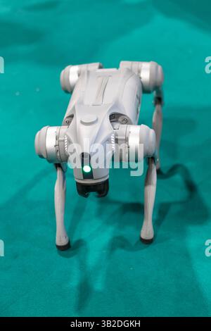 Cane robot militare grigio a una dimostrazione con sfondo verde Foto Stock