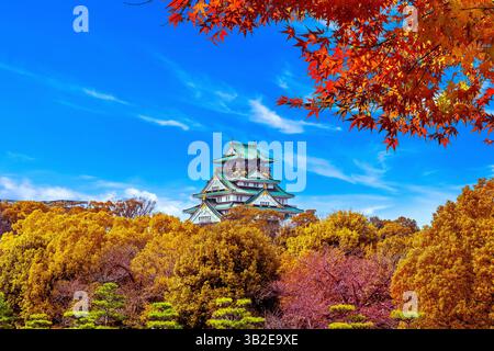Stagioni autunnali e castello di Osaka, Giappone. Foto Stock