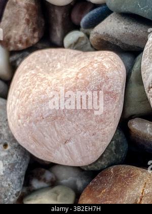 Primo piano di un ciottolo rosa liscio tra pietre da spiaggia multicolore, vista dall'alto texture naturale con delicate tonalità pastello e rocce arrotondate Foto Stock