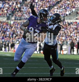 15 novembre 2015 - Baltimore, MD, USA - il tight end dei Baltimore Ravens Maxx Willams (87) segna durante il secondo trimestre di domenica 15 novembre 2015 all'M&T Bank Stadium di Baltimora. (Immagine di credito: © Kenneth K. Lam/TNS tramite filo ZUMA) Foto Stock