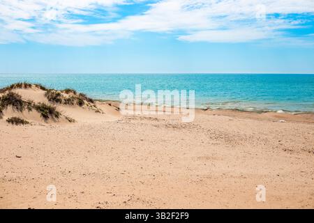 Duna di sabbia barriera con rete protettiva per la ritenzione dell'olio combustibile sulla costa del Mar Nero. Disastro ecologico, metodi di eliminazione. Foto Stock