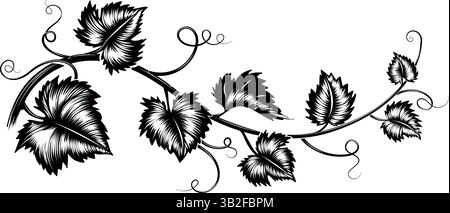 Incisione di rami di foglie d'uva Illustrazione Vettoriale