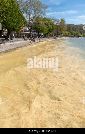 Polline sulla superficie del lago Ammersee, Baviera, Germania Foto Stock