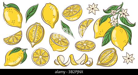 Colorato set di fette di frutta al limone disegnato a mano, foglie, fiori e bucce isolato su sfondo bianco. Perfetto per il design estivo, la confezione di alimenti freschi o. Illustrazione Vettoriale