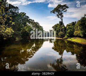Un tranquillo paesaggio caratterizzato da un fiume calmo che riflette la vegetazione lussureggiante circostante e gli alberi sotto un cielo blu limpido. La scena evoca tranquillità e.. Foto Stock