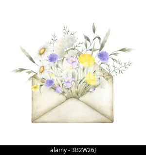 Acquerello fiori selvatici camomilla, camomilla, giardinetto, tarassio e erba prata in una vecchia busta vintage. Giallo campo, lilla, fiori bianchi mano dr Foto Stock