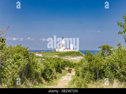 Un piccolo elefante su un sentiero con il faro di montauk sullo sfondo Foto Stock