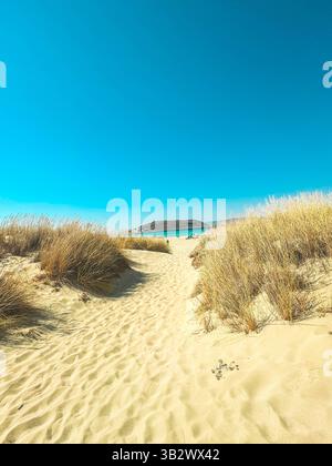 Isola greca di Elafonissos Foto Stock