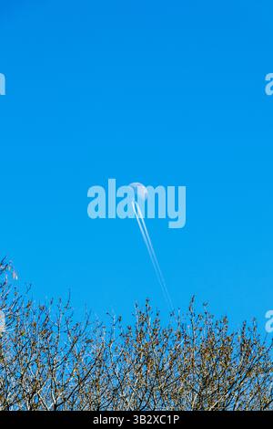 Un aereo in contrail passa il primo quarto di luna (4/5/25) in un cielo blu pomeridiano, Londra, Regno Unito Foto Stock