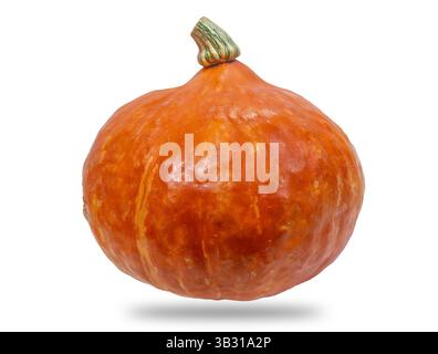 Zucca rossa Kuri Hokkaido, zucca arancione isolata su bianco con percorso di ritaglio incluso Foto Stock