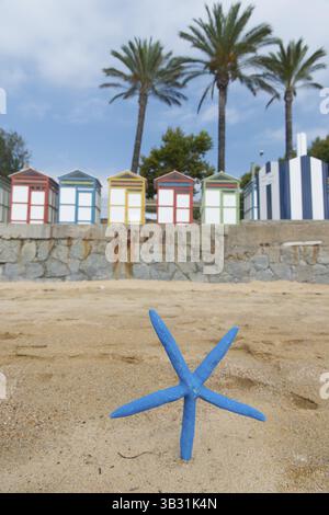 Colorate cabine in legno sulla spiaggia con stelle marine blu davanti Foto Stock