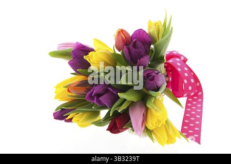 Bouquet colorati tulipani olandesi con nastro rosa isolate su sfondo bianco Foto Stock
