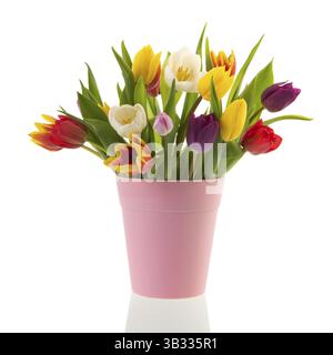 Tulipani con bouquet colorato in vaso rosa isolati su sfondo bianco Foto Stock