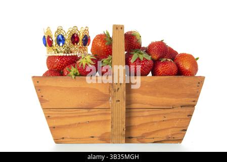 Cestello di raccolta in legno pieno di fragole coronate isolate su sfondo bianco Foto Stock