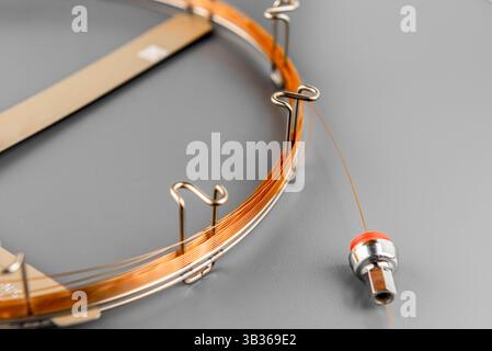Colonna capillare. Apparecchiature a colonna per gascromatografia. Foto Stock