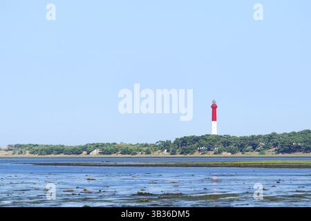 Faro la Coubre sulla costa atlantica francese a Los Angeles Palmyre Foto Stock