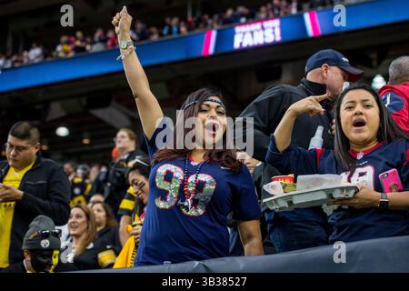 25 dicembre 2017: Tifosi degli Houston Texans prima di una partita di football tra gli Houston Texans e i Pittsburgh Steelers all'NRG Stadium di Houston, Texas. Gli Steelers vinsero la partita 34 a 6...Trask Smith/CSM(Credit Image: &Copy; Trask Smith/CSM via ZUMA Wire) Foto Stock