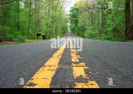 Strada con linee divisorie gialle su asfalto che conduce verso gli alberi Foto Stock