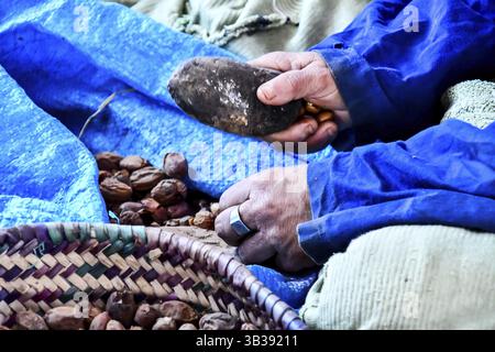 Primo piano delle mani nel mercato, CONTINENTE  Foto Stock