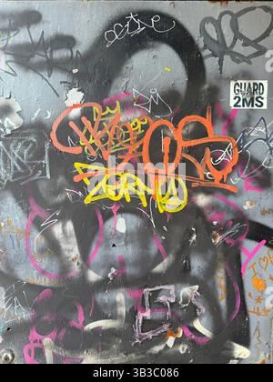 Porta con graffi su un edificio a Brooklyn, New York. Foto Stock