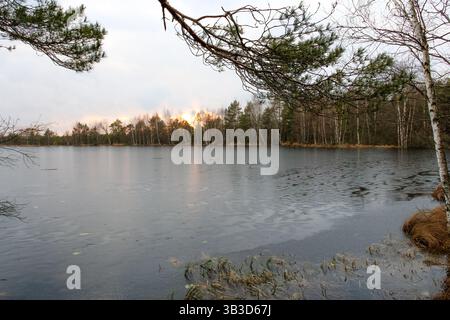 Tramonto su un lago ghiacciato e alberi di betulla. Serena scena invernale, atmosfera tranquilla, riprese grandangolari, scattate al livello degli occhi, con un lago ghiacciato e tranquillo Foto Stock
