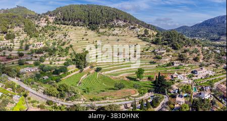 Terrazze tradizionali per piantare viti, Na Bernadeta, Esporles Village, area naturale della Serra de Tramuntana, Maiorca, Isole Baleari, Spagna Foto Stock