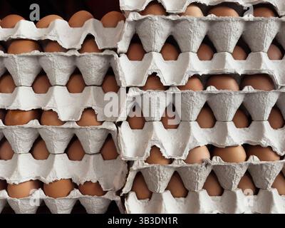 STILL Life pile di uova fresche di colore marrone in cartoni Foto Stock