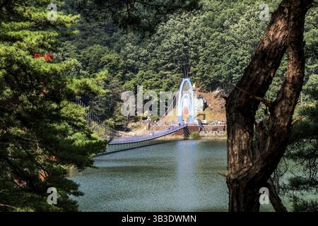 Cheongyang-gun, Corea del Sud, 2 ottobre 2020: Veduta della sospensione Cheonjangho incorniciata da rami di alberi, Asia Foto Stock