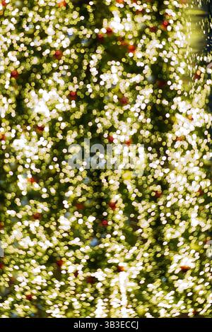 Scintillanti luci natalizie con sfondo bokeh verde e oro Foto Stock