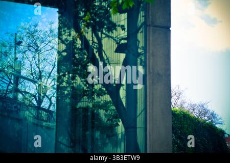 Civiltà contro natura Foto Stock