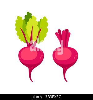 Barbabietole fresche, una con foglie verdi vivaci e una con la lampadina, isolata sul bianco Illustrazione Vettoriale