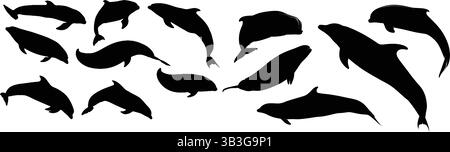 Set di silhouette Dolphin, illustrazione vettoriale Illustrazione Vettoriale