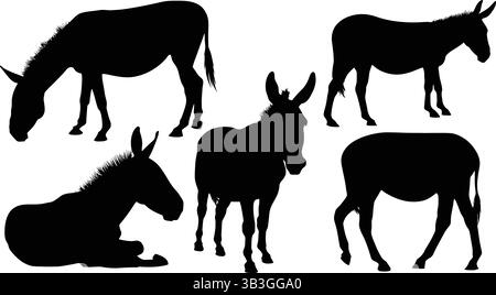 Set dettagliato di sagome Galloping, Walking Horse e Foal che illustrano la grazia equina Illustrazione Vettoriale