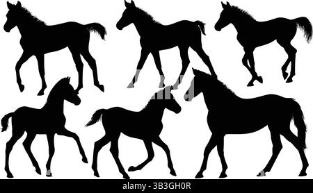 Set dettagliato di sagome Galloping, Walking Horse e Foal che illustrano la grazia equina Illustrazione Vettoriale