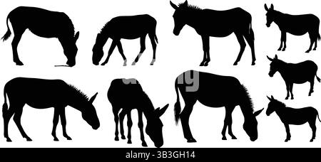 Set dettagliato di sagome Galloping, Walking Horse e Foal che illustrano la grazia equina Illustrazione Vettoriale