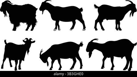 Silhouette assortite di capra nera in varie pose erette e pascoli Illustrazione Vettoriale