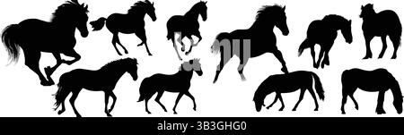 Set diversificato di sagome Black Horse in vari luoghi e pose Illustrazione Vettoriale