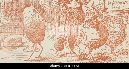 The Potato Tercentenary Exhibition and Conference at St Stephen's Hall, Westminster, Londra, 1886. Cartone animato da un annuncio pubblicitario. Foto Stock