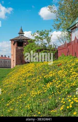 Kolomna, torre granovitaya. Frammento di antiche mura della fortezza e della Torre Granovitaya. Cremlino Kolomna. Foto Stock