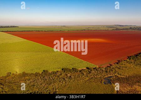 Vista aerea di una piantagione di canna da zucchero adiacente a un campo appena arato preparato per la piantagione futura, con una piccola area di foresta secondaria nelle vicinanze. Foto Stock