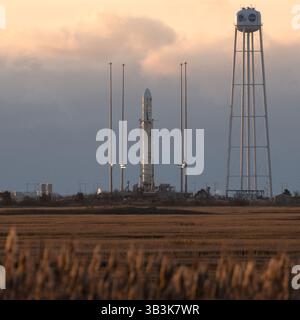 11 novembre 2017 - Wallops Island, Virginia, Stati Uniti - il razzo Orbital ATK Antares, con la navicella Cygnus a bordo, è visto sul lancio Pad-0A, presso la Wallops Flight Facility della NASA in Virginia. L'ottava missione di rifornimento merci dell'ATK orbitale con la NASA alla stazione spaziale Internazionale consegnerà circa 7.400 chili di scienza e ricerca, rifornimenti dell'equipaggio e hardware per veicoli al laboratorio orbitale e al suo equipaggio. (Immagine di credito: © Bill Ingalls/ZUMA Wire/ZUMAPRESS.com) Foto Stock