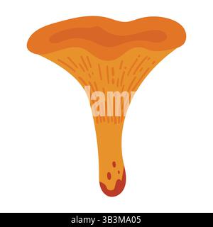 Illustrazione dei funghi Chanterelle disegnati a mano isolata su sfondo bianco. Raccolto forestale autunnale. Stagione autunnale Flora Illustrazione Vettoriale