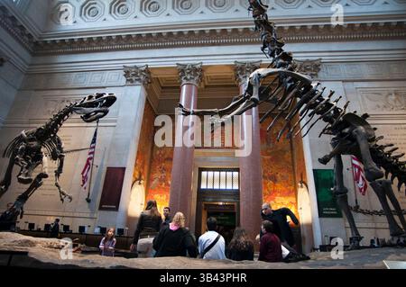 26 maggio 2015 - New York, New York, Stati Uniti - Museo americano di storia naturale. Central Park West e 79th Street. Le aree che attirano l'attenzione sono le tre sale dedicate ai dinosauri esquelos pieni- accanto ad un altro scheletro appeso al soffitto appartenente alla replica di una balena femmina catturata sulla costa meridionale nel 1925. (Immagine di credito: © Sergi Reboredo/ZUMA Wire/ZUMAPRESS.com) Foto Stock