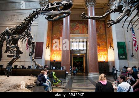 26 maggio 2015 - New York, New York, Stati Uniti - Museo americano di storia naturale. Central Park West e 79th Street. Le aree che attirano l'attenzione sono le tre sale dedicate ai dinosauri esquelos pieni- accanto ad un altro scheletro appeso al soffitto appartenente alla replica di una balena femmina catturata sulla costa meridionale nel 1925. (Immagine di credito: © Sergi Reboredo/ZUMA Wire/ZUMAPRESS.com) Foto Stock