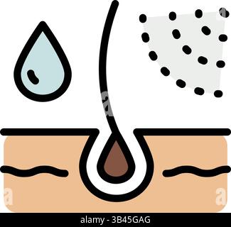 Icona di colore per la cura dei capelli, trattamento di perdita, idratante e applicazione della creatina, radici sane, siero per follicolo, utilizzando shampoo secco. Segno vettoriale per Web de Illustrazione Vettoriale