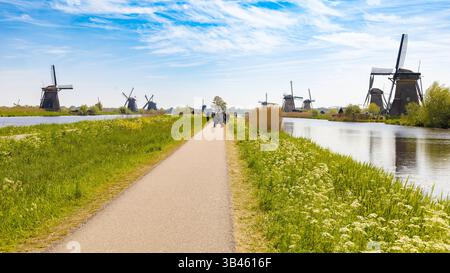 Vista panoramica di Kinderdijk, Paesi Bassi, con storici mulini a vento lungo un sentiero vicino all'acqua, con persone che camminano, campi verdi e fiori selvatici Foto Stock