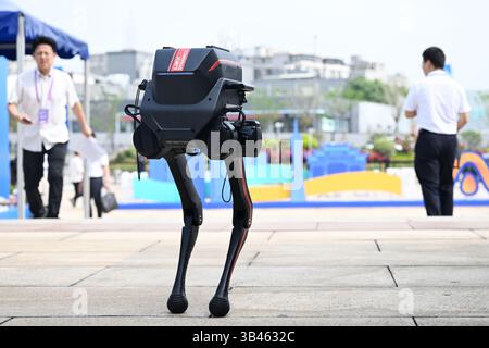 Viene visualizzato un robot biping. Guangzhou, Cina.28 aprile 2025. Il 4° Pazhou Algorithm Competition è stato lanciato a Guangzhou, capitale della provincia del Guangdong della Cina meridionale, il 28 aprile 2025. Gli scenari applicativi nei campi dell'intelligenza incorporata, dell'intelligenza del computer cerebrale, dell'economia a bassa quota erano esposti. Il formato del concorso di questo evento è stato pubblicato. Credito: Chen Chuhong/China News Service/Alamy Live News Foto Stock